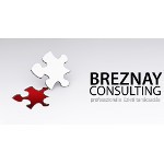 Breznay Consulting